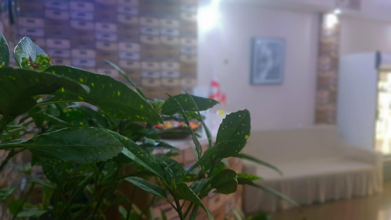 טביליסי Hotel Stal+ מראה חיצוני תמונה
